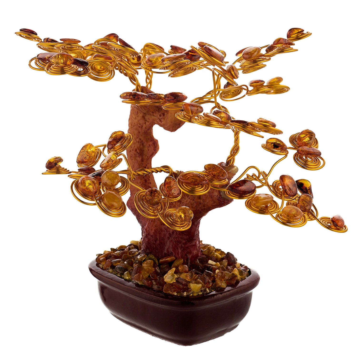 Cây tài lộc "Bonsai"