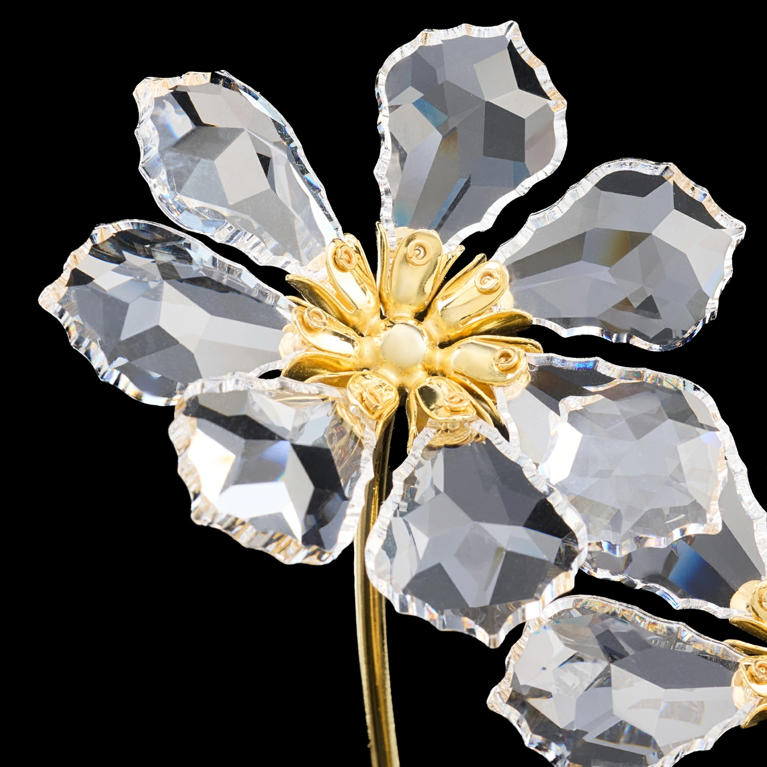 gd1di5ypn39ui3wqtyonxise7q2e330g