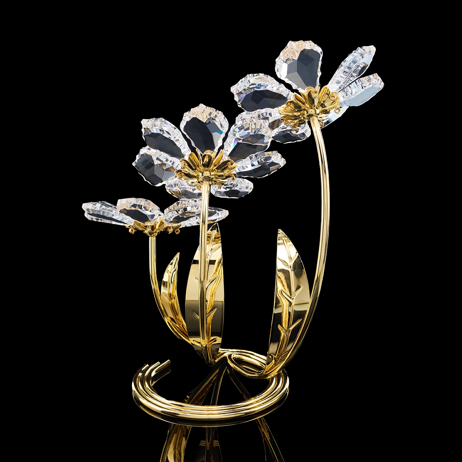 n6ezet0t5juteuucqz6q984x1q2i9bwa