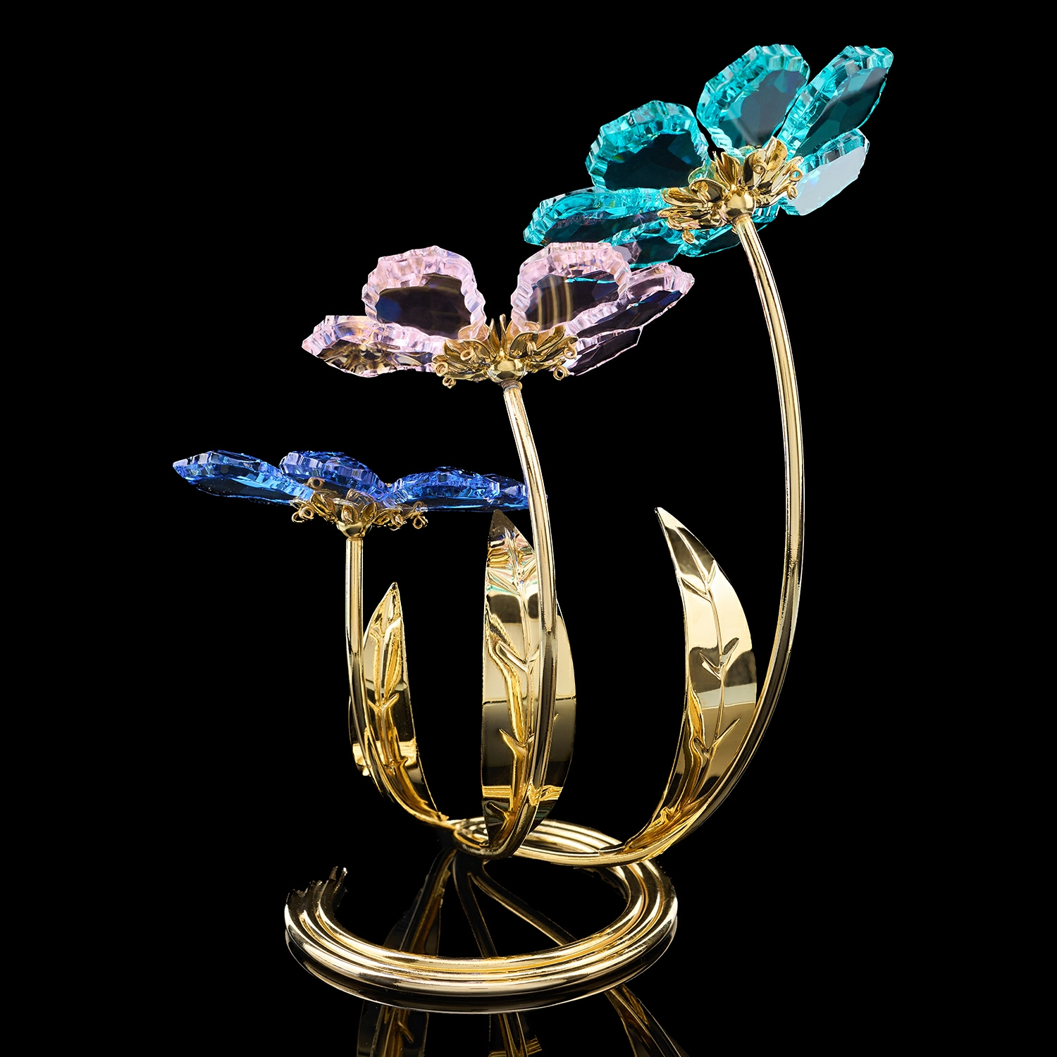 n8xr59lnu79ws51obq9oh47igyvk6kga